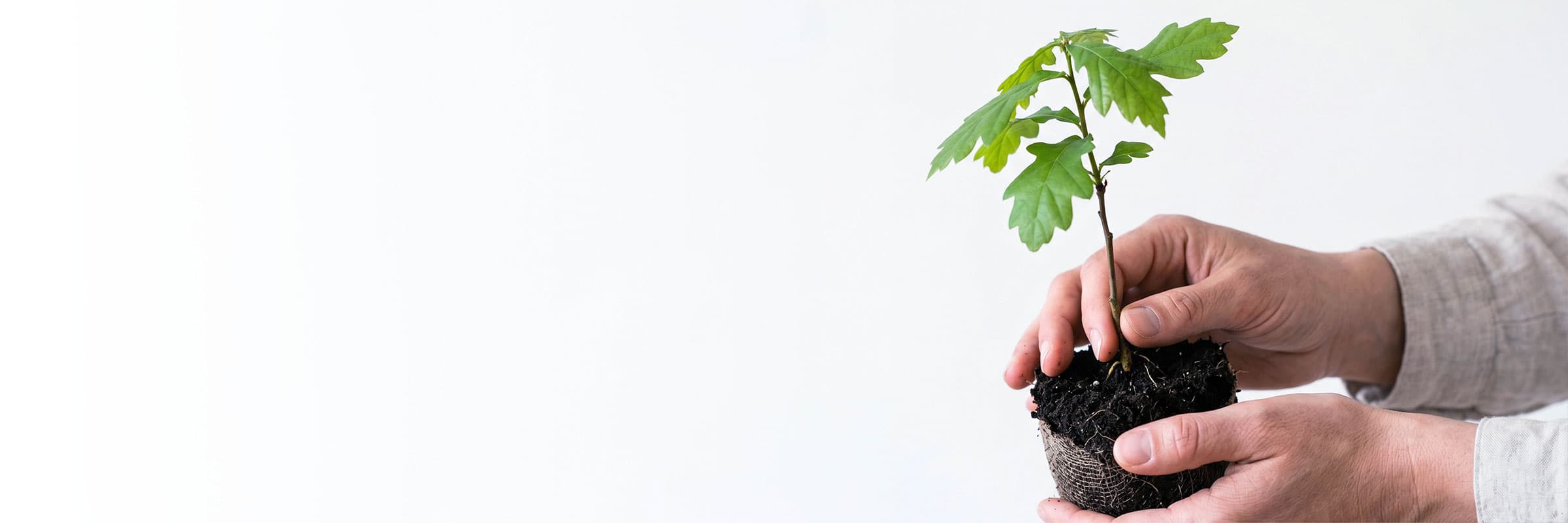 Sustainability-banner